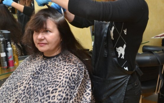 ������ �����: �������