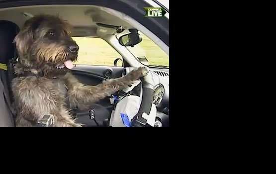 �������������� ������ ��������� ��������� �����������