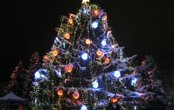 ������� ������� ������ ���������� ������ �������������� ����