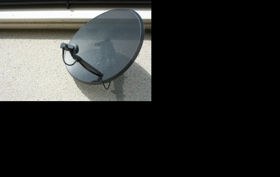 ������ ��������� ����������� ��?