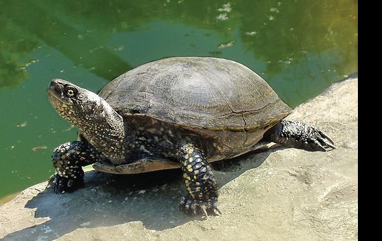 �������� 2013 ���� � ������ � ����������� �������� ��������