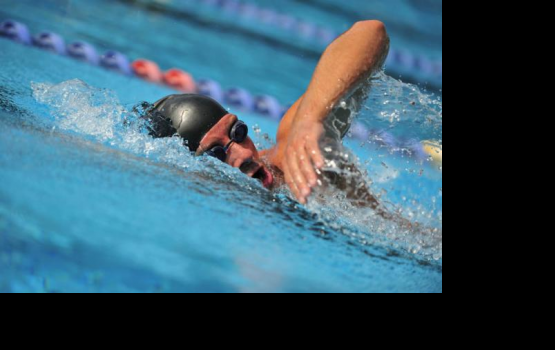 ���������� �������� � �����������: ������ � ���������