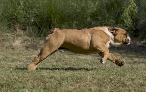 "���� ������������ ������" - �������