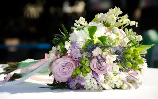 � ��������� Vēsma ���������� ����������� �� �������� ����-2012�