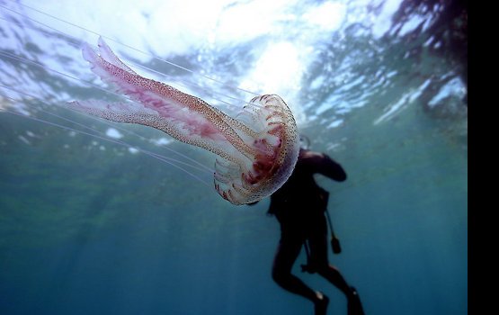 ��������� ����� ��������� ���������� ������� ������