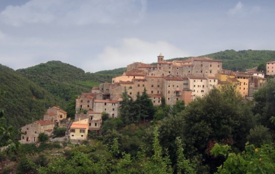 ����������: ����������� ��� �������� � �������������� �������