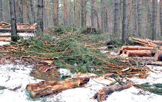 ����� �� ������� �������� ��� � �������