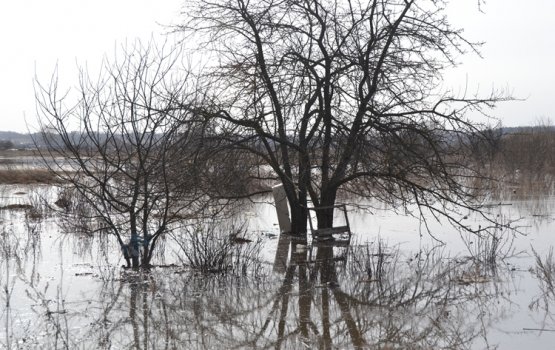 Паводок 2013: вода подбирается к Гривским кладбищам (фото)