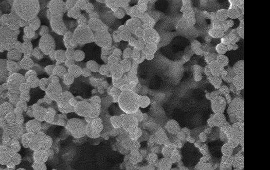 �������� Nanogel ������ ������ � ������ ������ �������