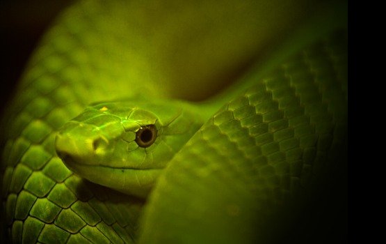 � ����������� � ������� ���� ����� ����