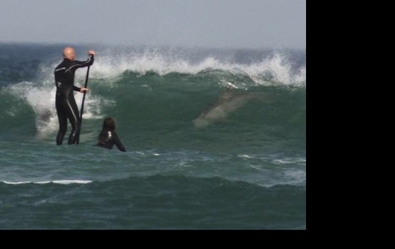 ����� ������� ����� � ������, ������� � ������ �������