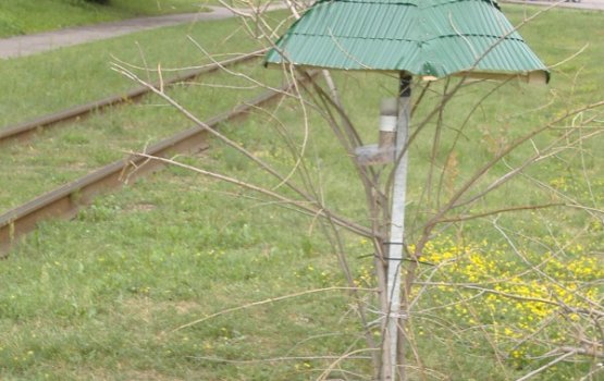 ������������ ������ �������: "������� ��������!"