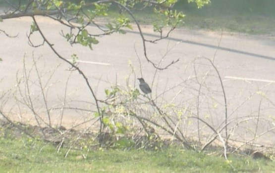 ������������ ������ �������: "������� ��������!"