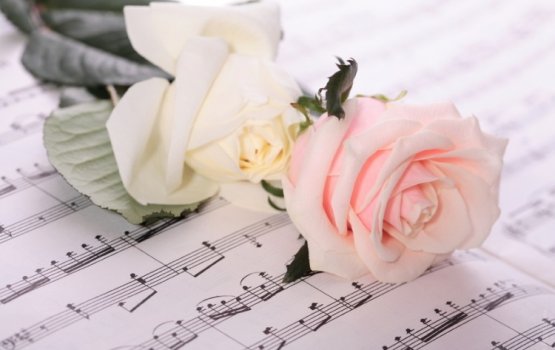 �� ��������� ����� �������� ��� ���� �� ���������