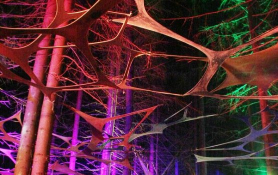 � ����� ������ ���������� Tundra`2013