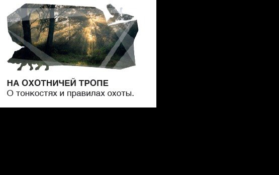 �������� � ���� ���������!