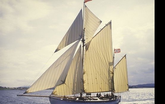 � ���������� ���� �� ����� ������ ������� ���������� 100-������ ��������