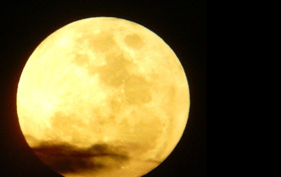 �������������: ��� ��������� ������� � ���������� ��������