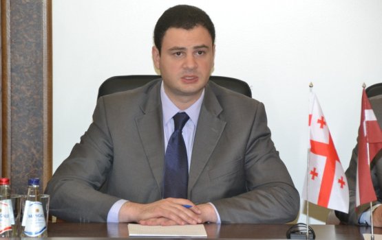 Грузию интересует наш «европейский» опыт