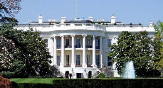 ����� ���: ������ 11 �������� ���������� � ���� ����������