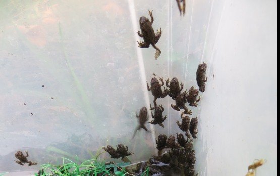 �������������� ���� ��������� ����������� �������