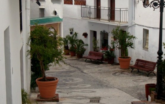 ����� ������  �������� ����������� ������������ �������