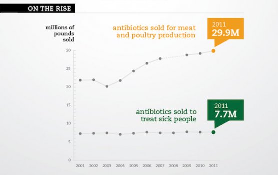 ������������: ����������� � ����� �������� ���������� ������