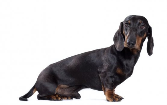 "���� ������������ ������" - �����