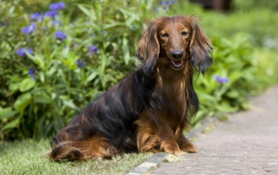 "���� ������������ ������" - �����