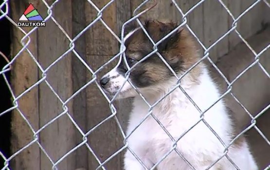 �� ������ ���� � ������ �� ���, ���� ��������� (�����)