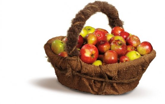 � ������ ������ ������ ����� ������ �� ����������