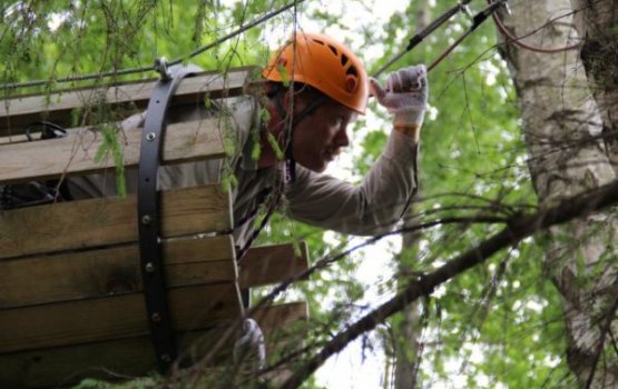 ������� ����� � ����� Silene