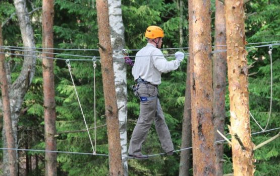 ������� ����� � ����� Silene