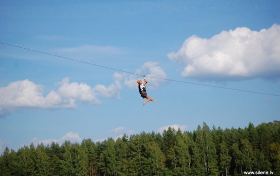 ������� ����� � ����� Silene