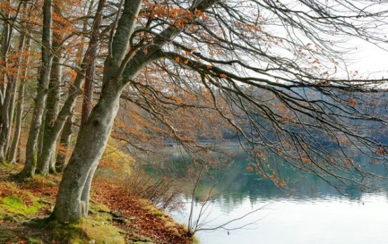 �������� �������: ����� ������ ��� ��� � ������