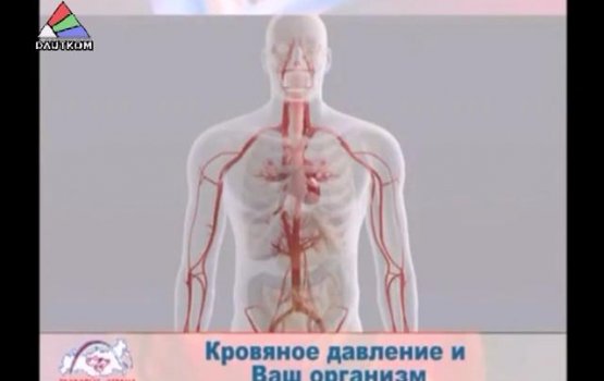 ������� � ��������: ��������� � ���� ������ (�����)