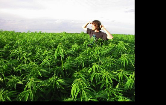 ������ ������ ���������