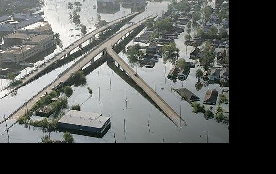 ������� ����� ��������  �������������? ����� ������!