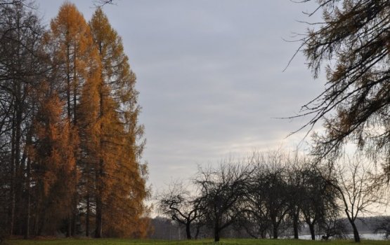 ���� ����� � �������������� ������