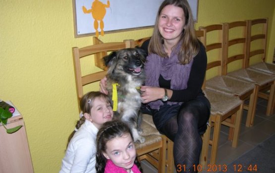 ����� �������������� ���������� ����� ����������