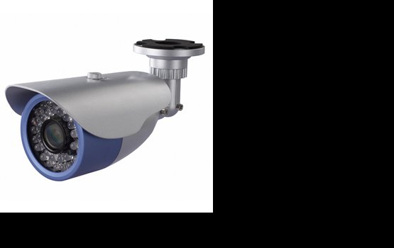 ����� ������, ���� ���� ���������������?