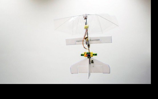 DelFly Explorer � ������ � ���� ���������� ������-�������