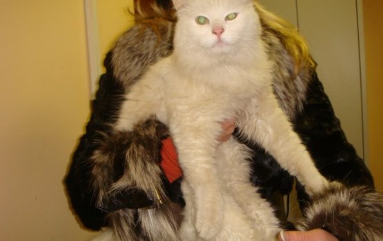 ������ ���� �����! ������ 2