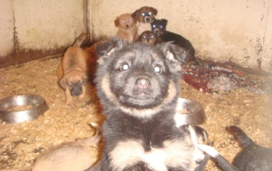 ������ ���� �����! ������ 2