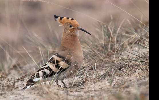 ���������� ���������� ������������: ����� 2014 ���� � ����