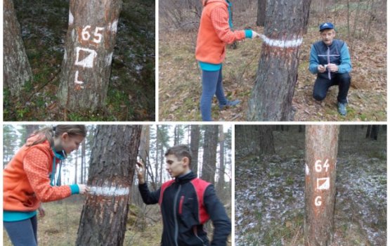 В Ругелях создана лыжная трасса и тренировочный полигон