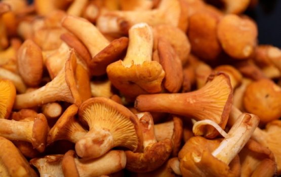 �������� �� ������ �����?