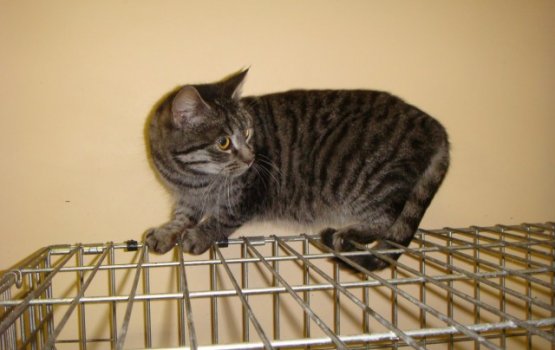 ������ ���� �����! (������ 3)