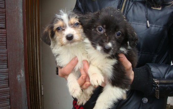 ������ ���� �����! (������ 3)