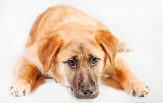 ������ ���� �����! ������ 7